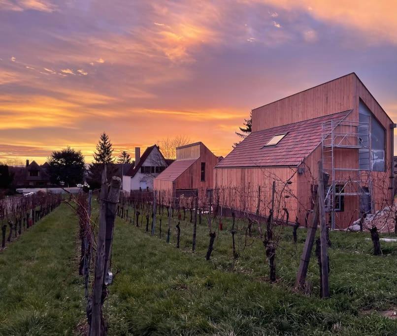 Le Cepage, Au Coeur Des Vignes. Villa Eguisheim Buitenkant foto